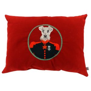 COUSSIN COMTE DE FOXOY