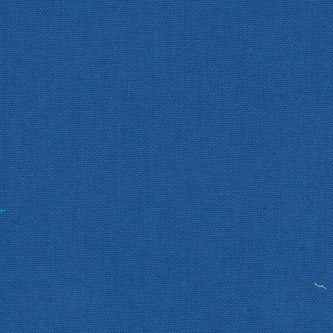 COTON BLEU ROI - CALVI