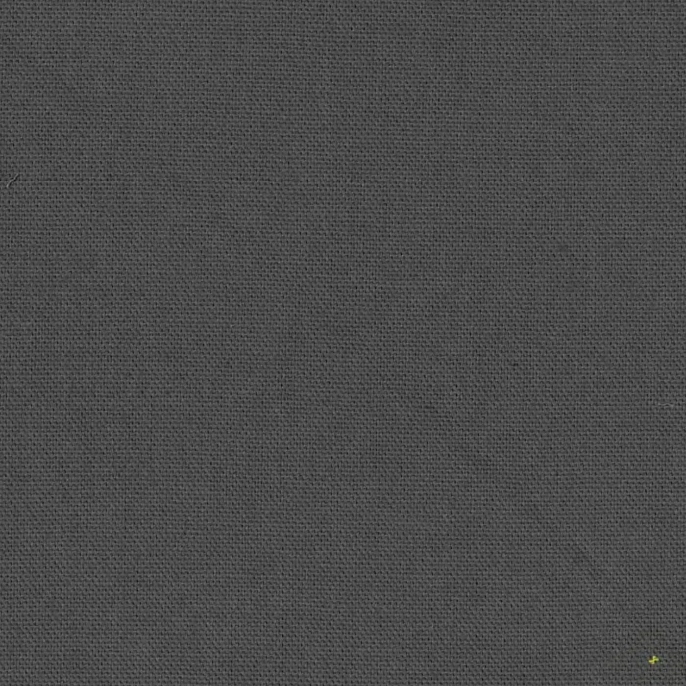 COTON GRIS CACHALOT