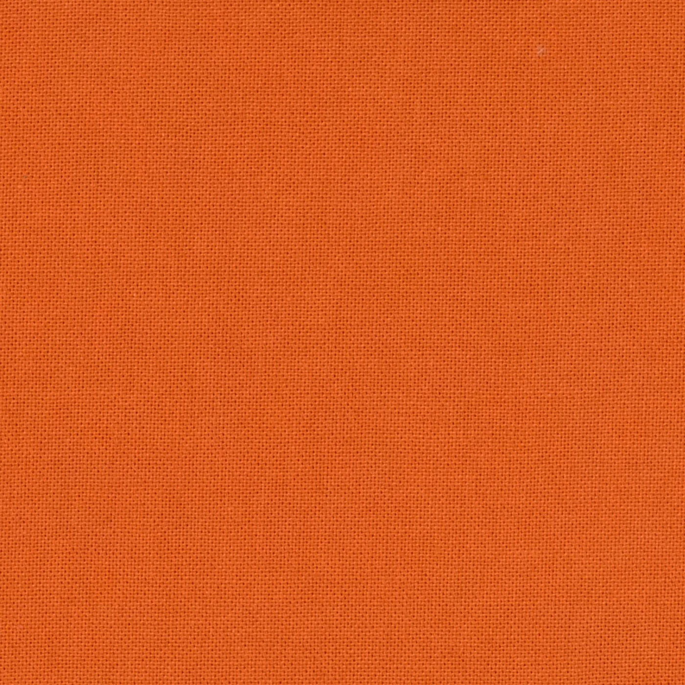 COTON ORANGE CALIFORNIE
