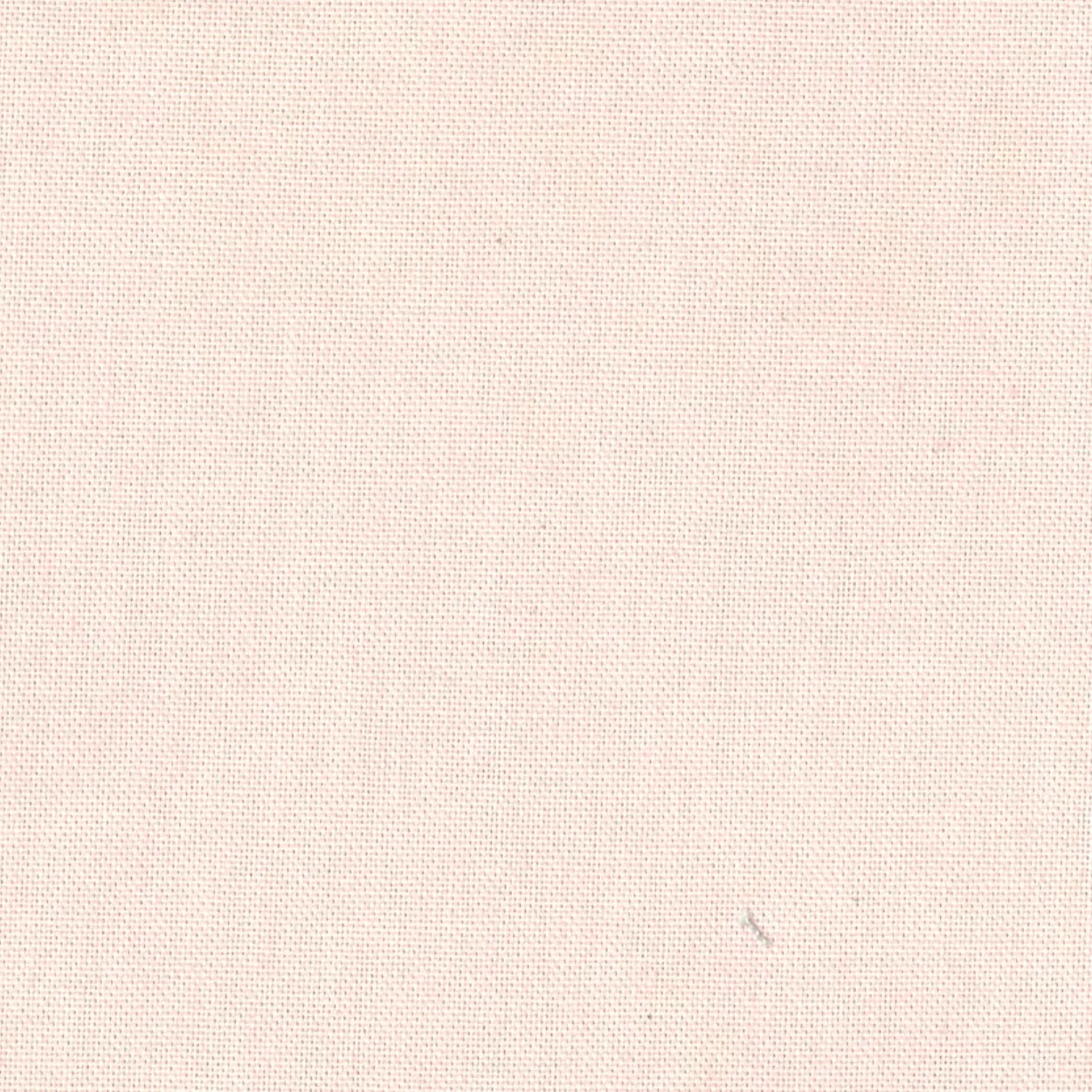 COTON ROSE CAMÉE