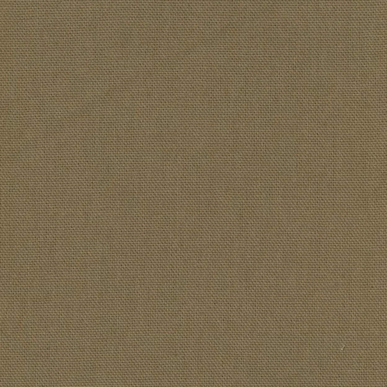 COTON TAUPE CHAMOIS