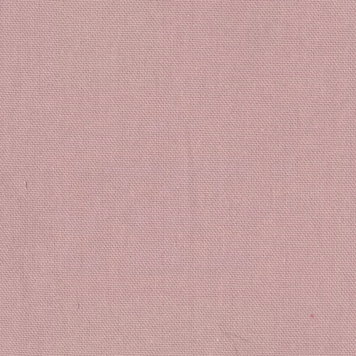 COTON VIEUX ROSE