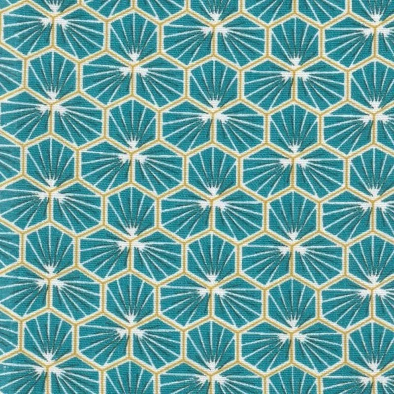HEXAGONE BLEU CANARD