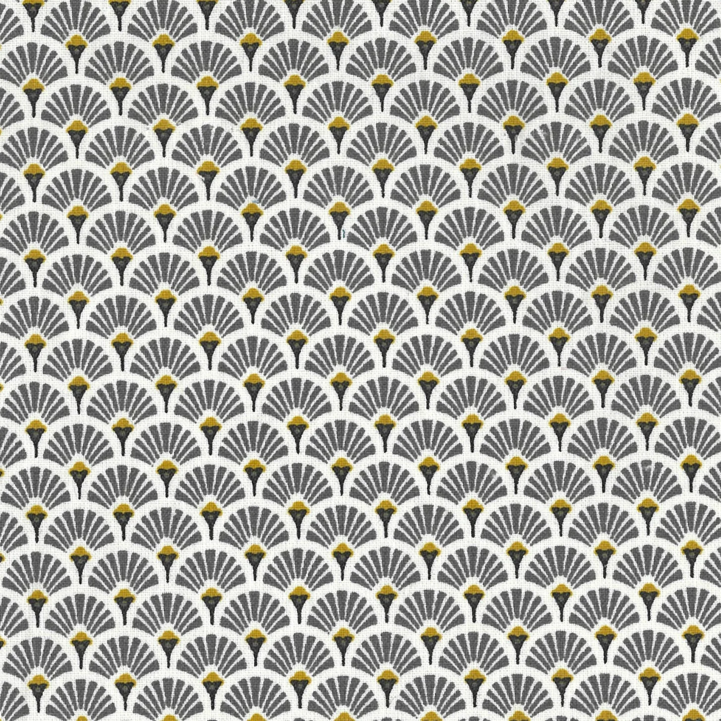 TOILE ENDUITE EVENTAIL